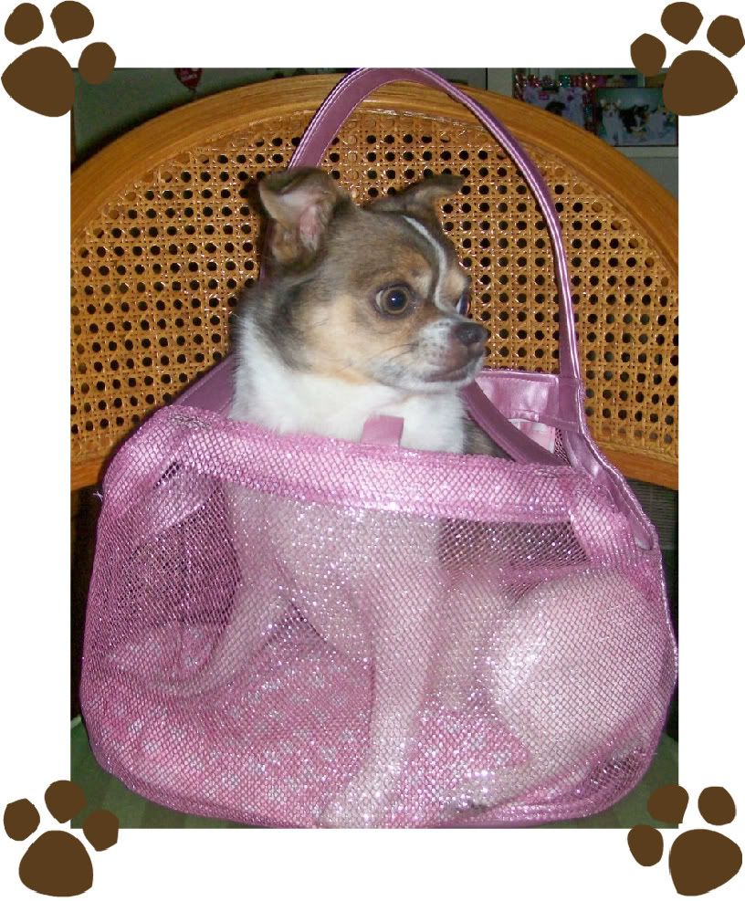 NWT CUTE SIMPLY DOG PINK SPARKLE DOG PUPPY PET CARRIER eBay