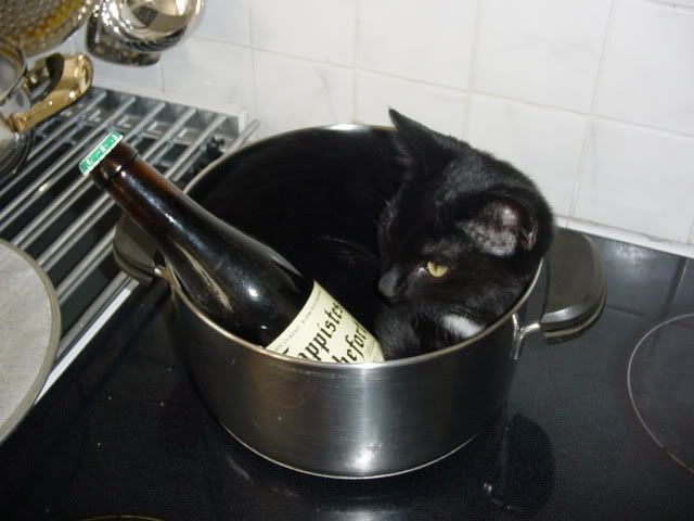 DSC00412.jpg