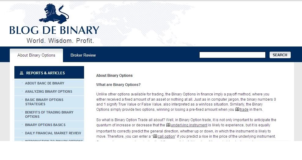 binary options review