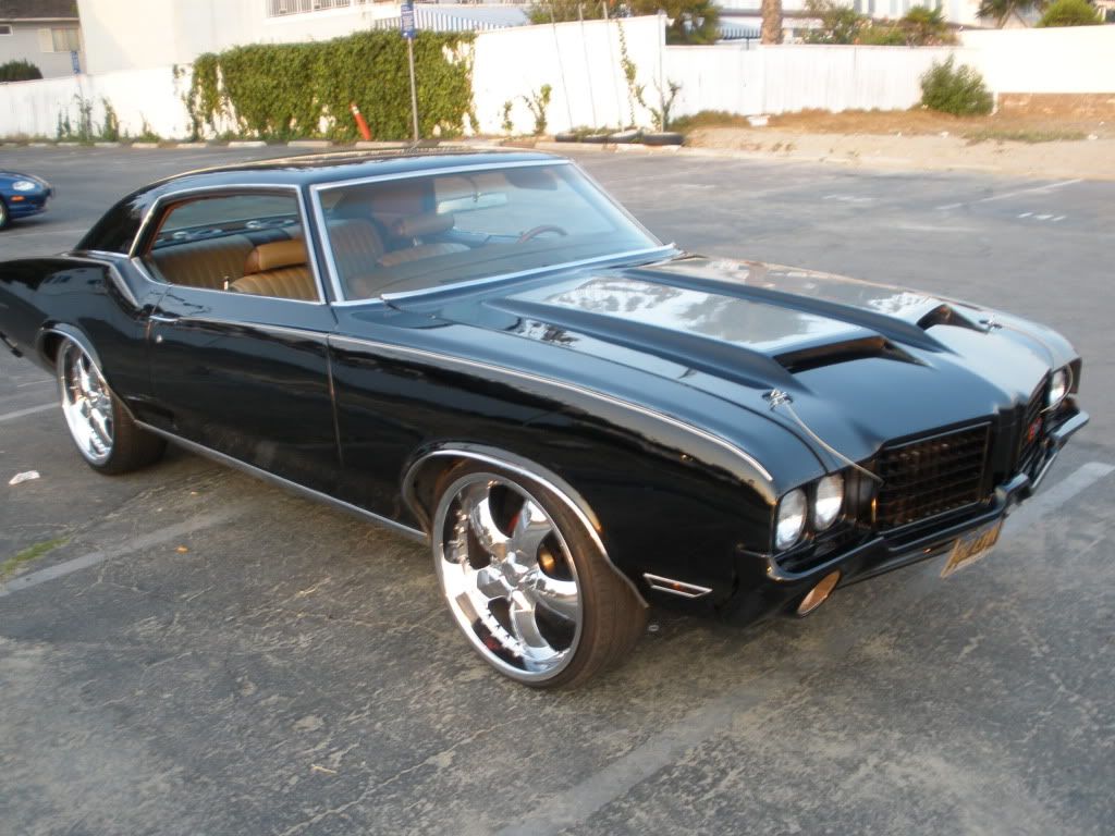 Painted bumpers, what yall think about them???