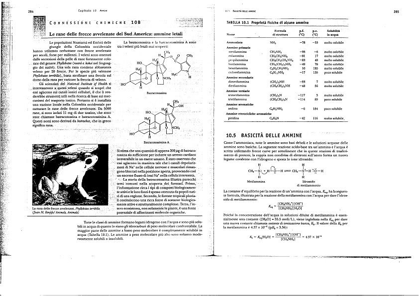 Introduzione alla chimica organica  - Brown William H, Poon Thomas pdf preview 1