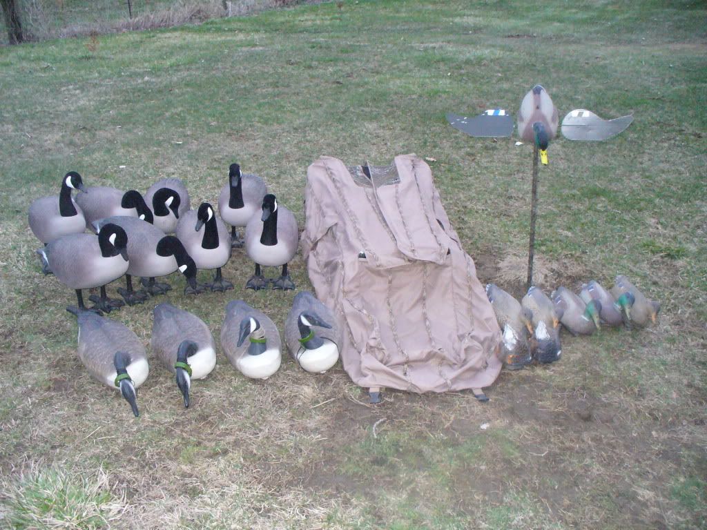 Duck/Goose hunting equipment IAWaterfowlers