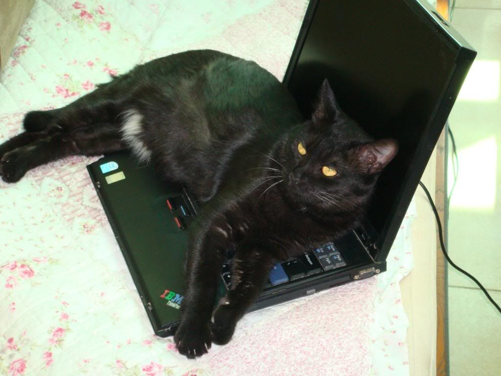 NuckingFutz's Laptop is Toast
