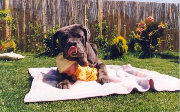 The Proper Hugging of a Baby