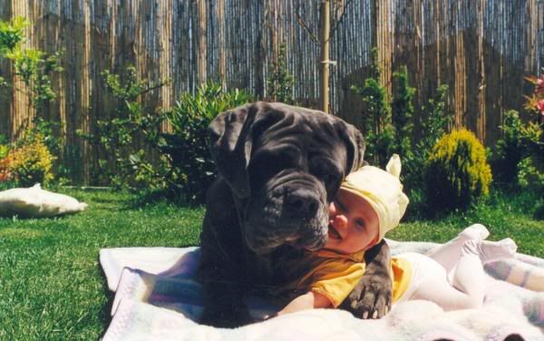 The Proper Hugging of a Baby