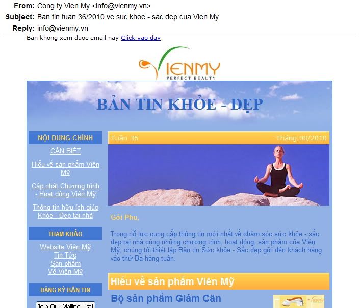 E-Newsletter Vien My