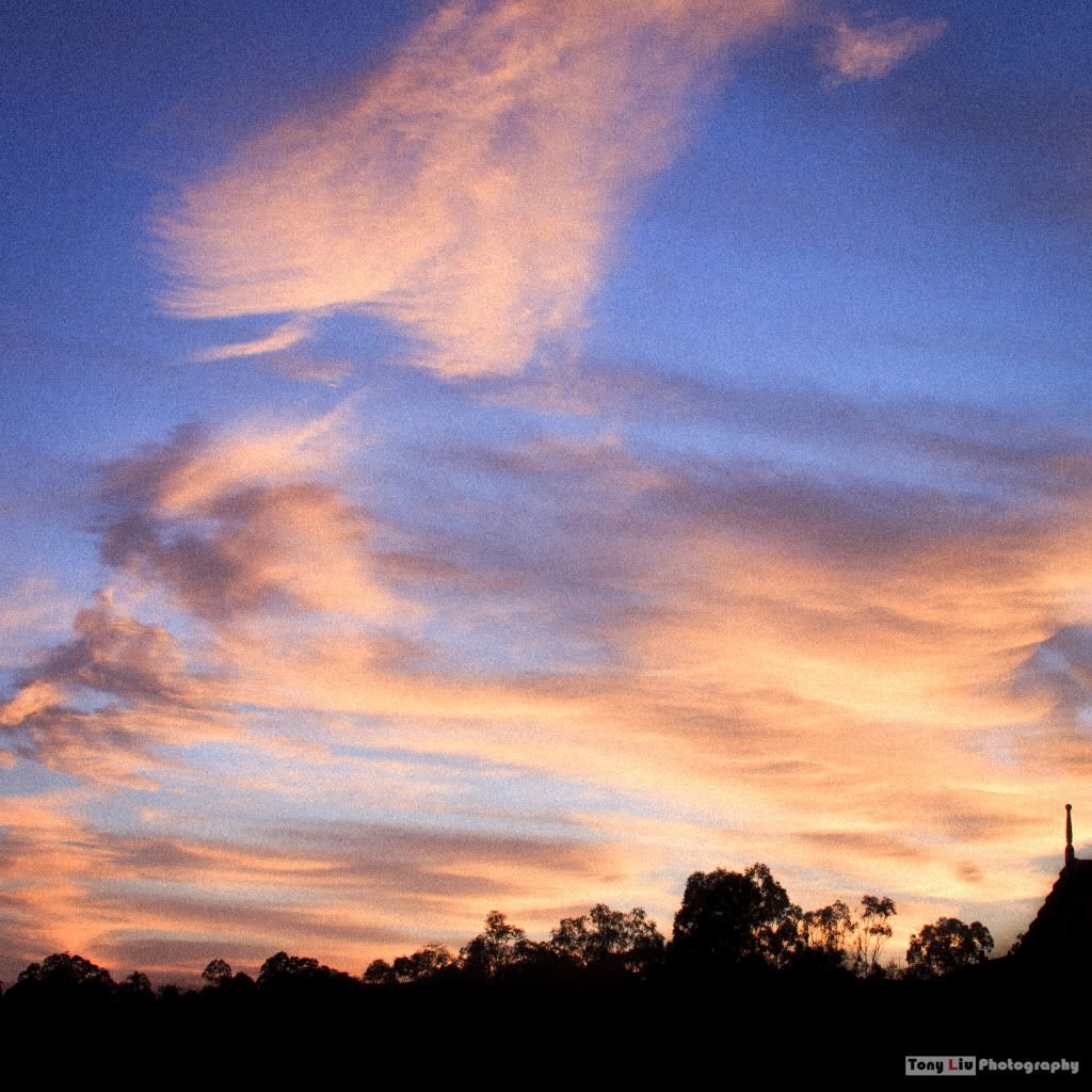 IMAGE: http://i899.photobucket.com/albums/ac198/basketballfreak6/003-2-1.jpg