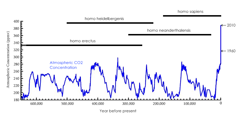 co2evolution.png