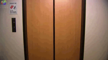 [Image: Male-Prima-Donna-the-office-8885192.gif]