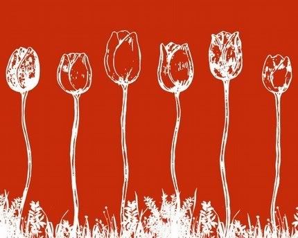 whitetulips-simplymodern.jpg red tulips image by lova_03