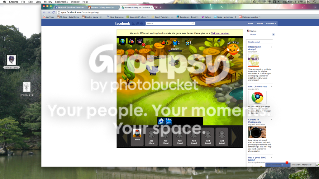 User Image