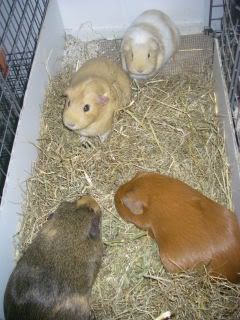 IMGP0267.jpg