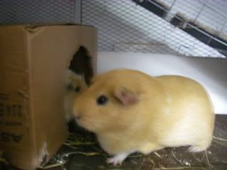 IMGP0425.jpg