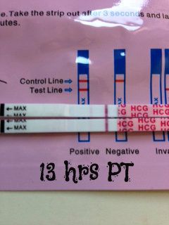 hpt1_zpsb18eb93e photo hpt1_zpsb18eb93e-1_zps0e7c3885.jpg