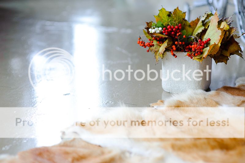 photo DSC_3220_zpsc5fa07f2.jpg