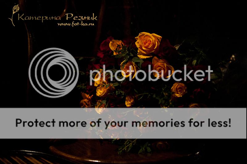 photo DSC_5814_zps1cb43134.jpg