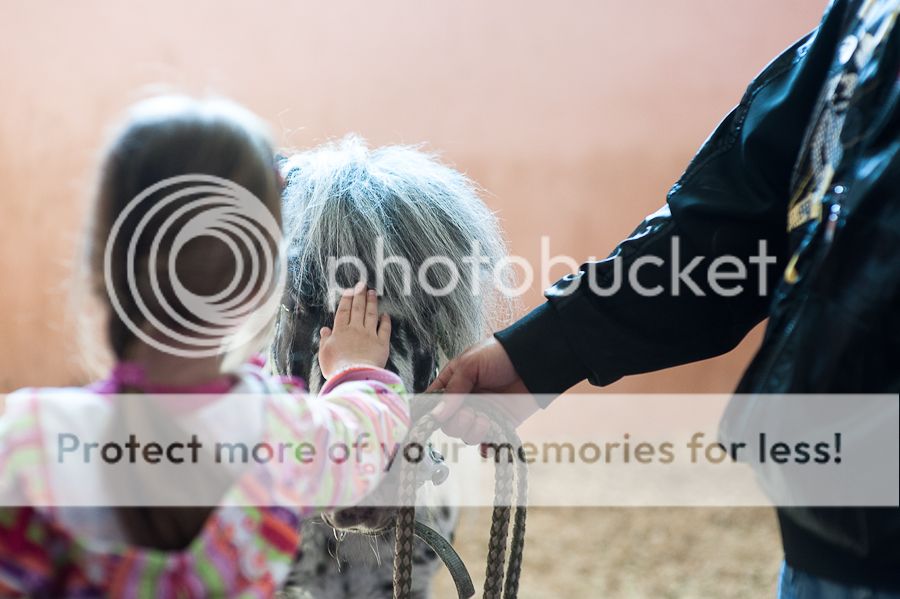  photo DSC_0074_zps78924d2f.jpg