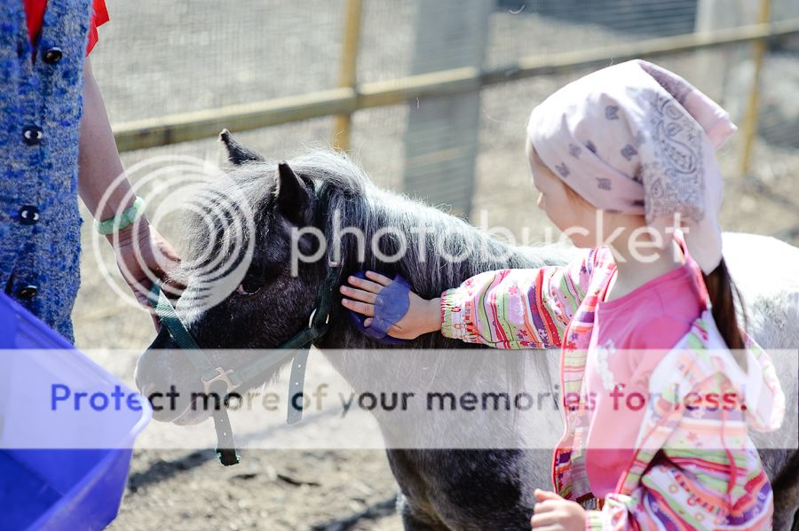  photo DSC_0097_zpsd423bd5b.jpg