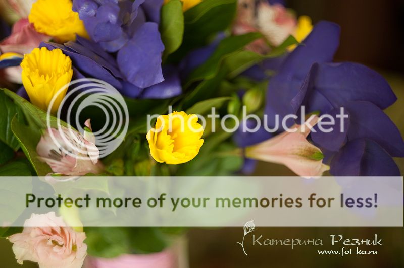 photo DSC_5649_zps178613e9.jpg