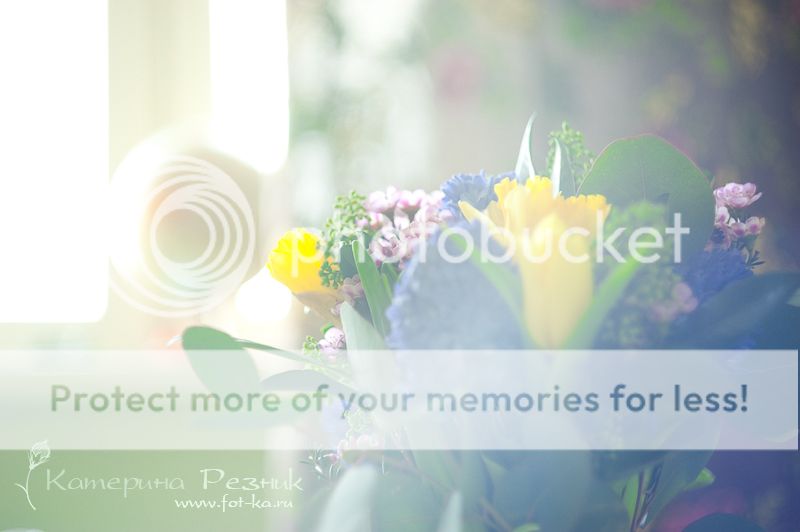 photo DSC_5660_zps318a12ee.jpg