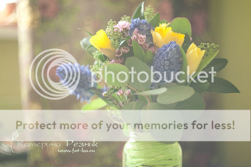 photo DSC_5665_zps38b0b985.jpg