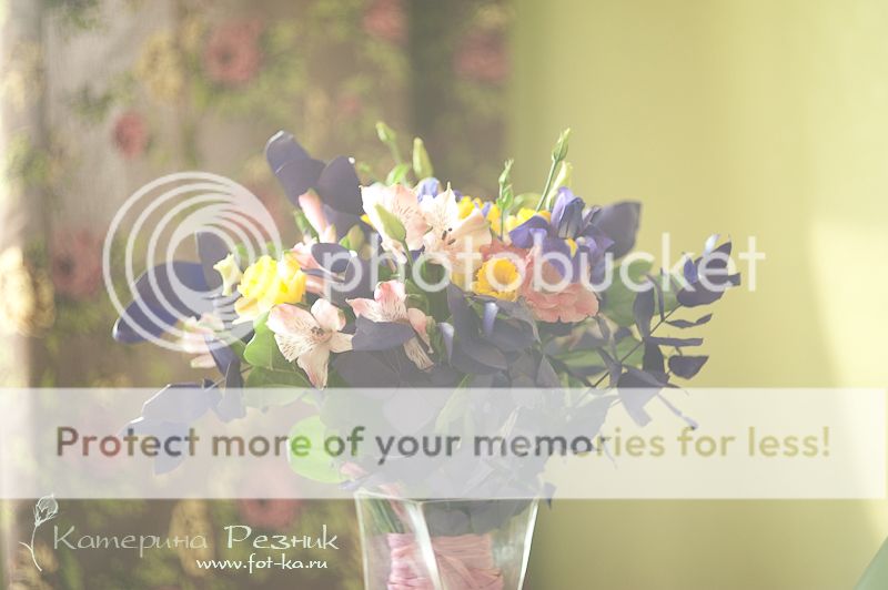 photo DSC_5667_zps1a0b6a2b.jpg