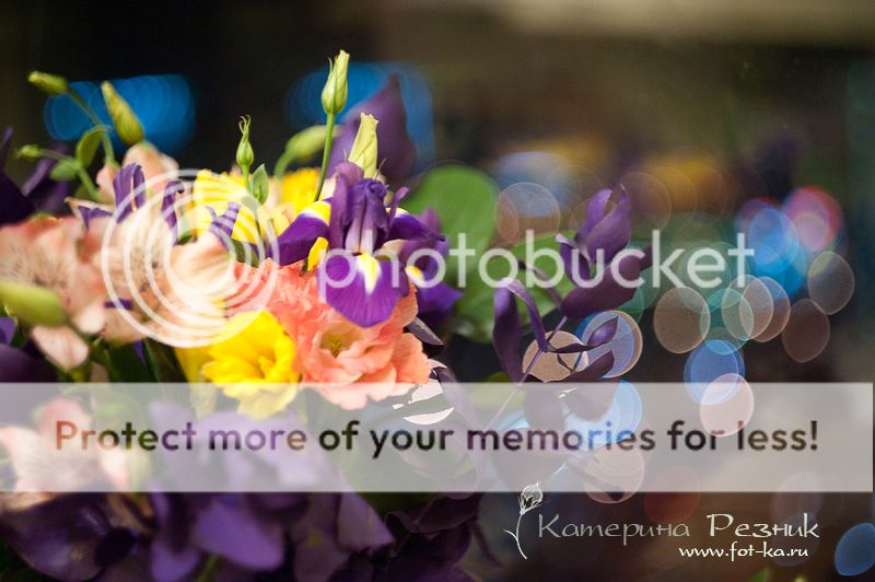 photo DSC_5681_zps7a6078e9.jpg