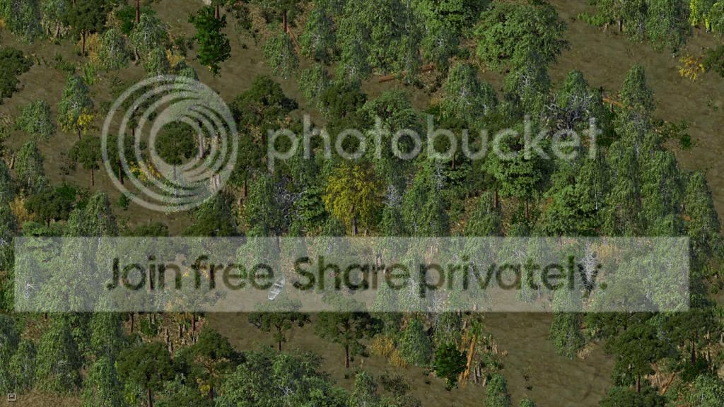 Swamp_zpsc02f05c8.jpg